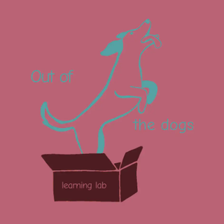Out of the Dogs learning lab – εκπαίδευση σκύλων στο Αιγάλεω